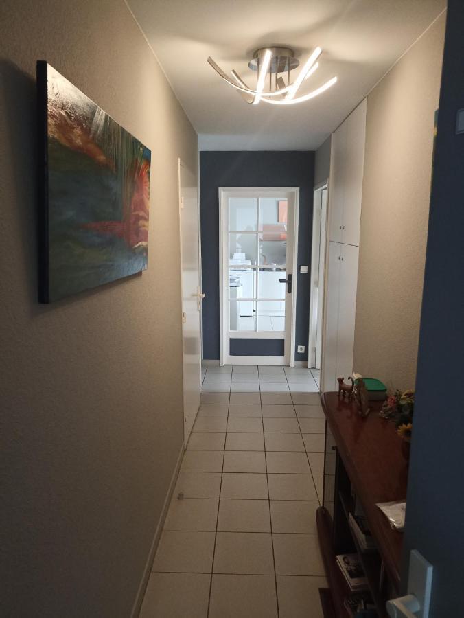 Bayonne Appartement 63M2 Avec Terrase Parking Wifi Екстер'єр фото